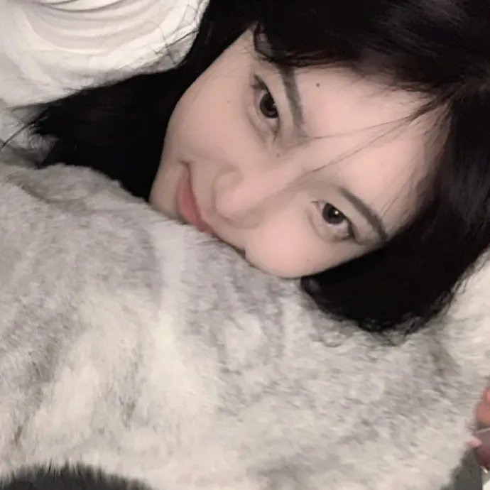 翼龙